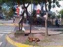 Schlafender Hund vor einer Statue